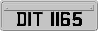 DIT1165