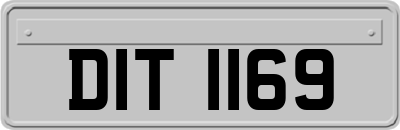 DIT1169