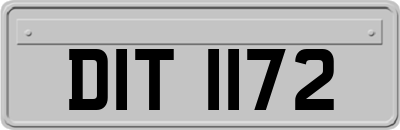 DIT1172