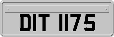 DIT1175