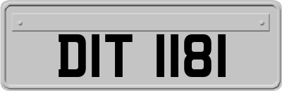 DIT1181