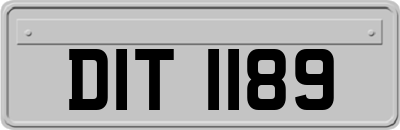 DIT1189