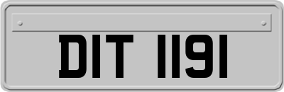DIT1191