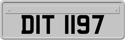 DIT1197