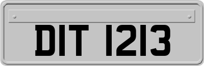 DIT1213