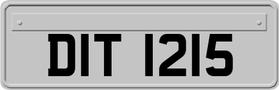 DIT1215