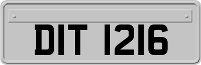 DIT1216