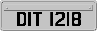 DIT1218