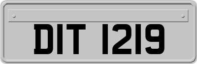 DIT1219