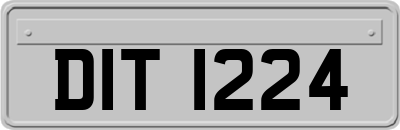 DIT1224
