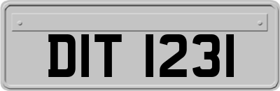 DIT1231