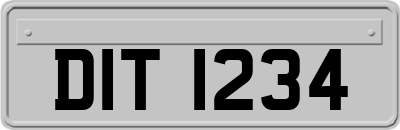 DIT1234
