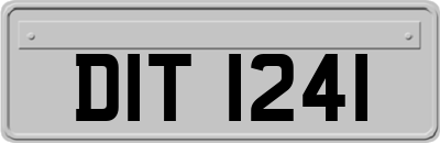 DIT1241