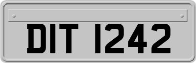DIT1242