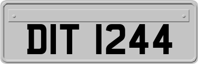 DIT1244
