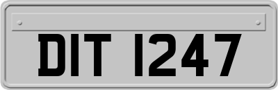 DIT1247