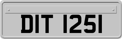 DIT1251