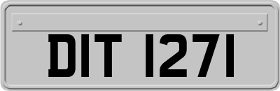 DIT1271