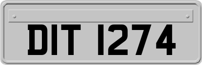 DIT1274