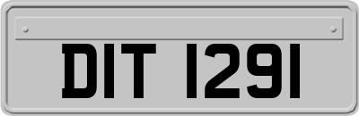 DIT1291