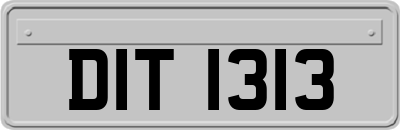 DIT1313
