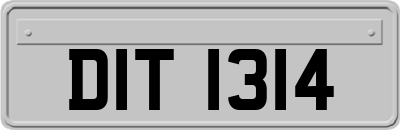 DIT1314