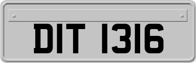 DIT1316