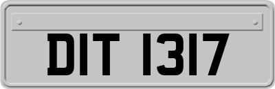 DIT1317