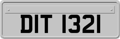 DIT1321