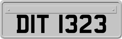 DIT1323