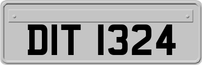 DIT1324