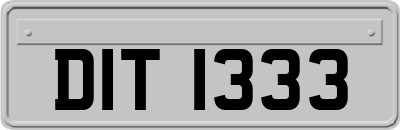 DIT1333