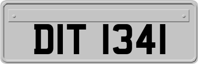 DIT1341