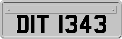 DIT1343