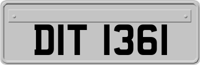 DIT1361