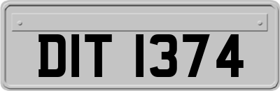 DIT1374
