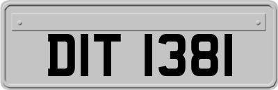 DIT1381