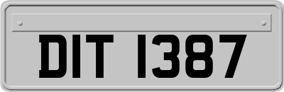 DIT1387
