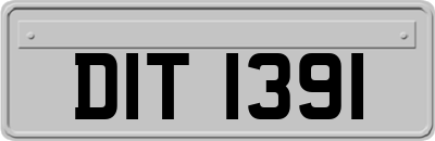 DIT1391