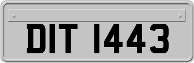 DIT1443