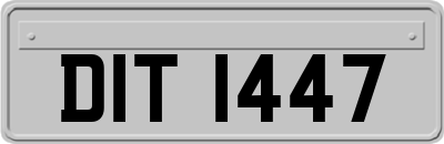 DIT1447
