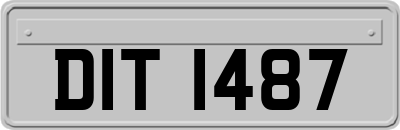 DIT1487