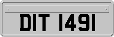 DIT1491