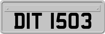 DIT1503