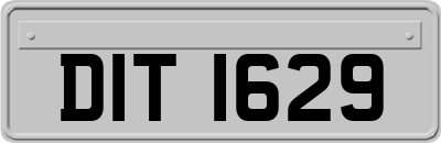 DIT1629
