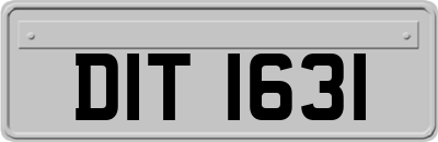 DIT1631