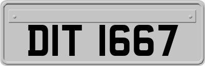DIT1667
