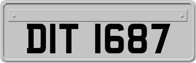 DIT1687
