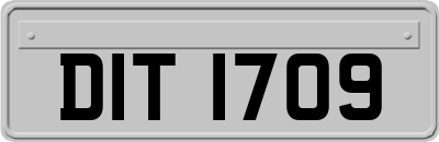 DIT1709