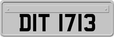 DIT1713